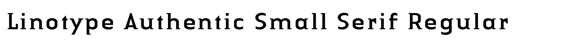 Linotype Authentic Small Serif Regular image